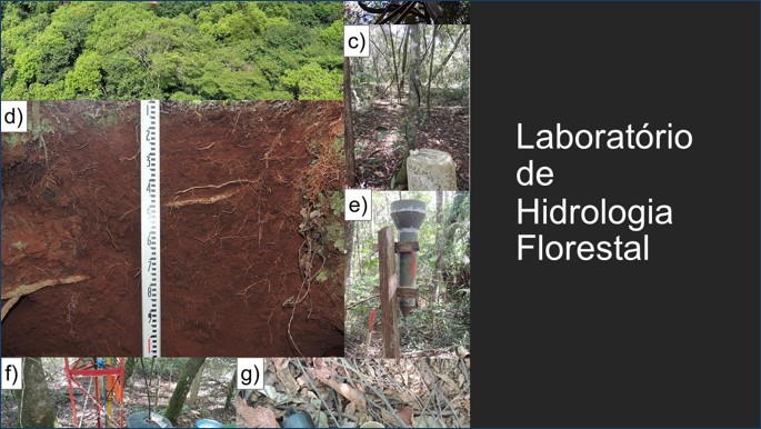 Lab Floresta