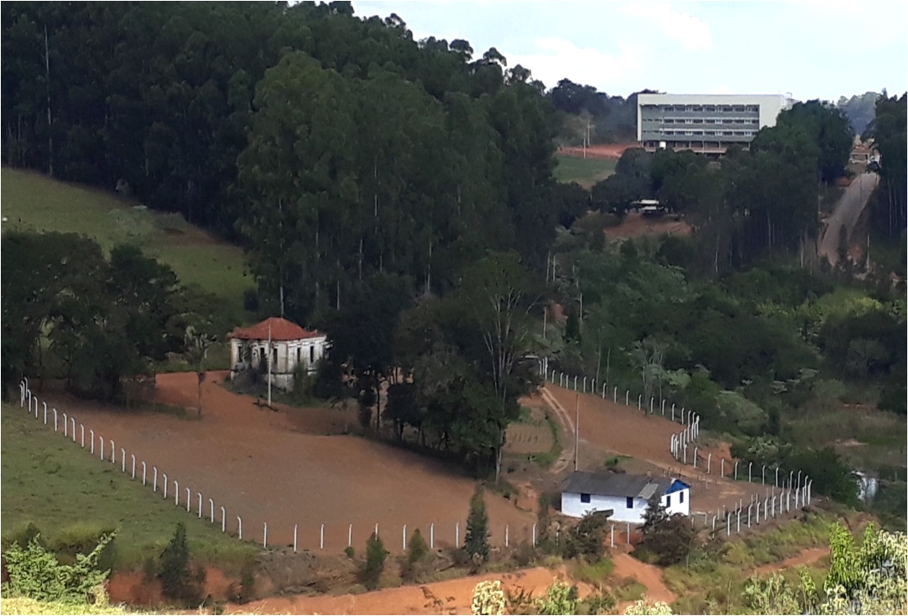 FAZENDINHA