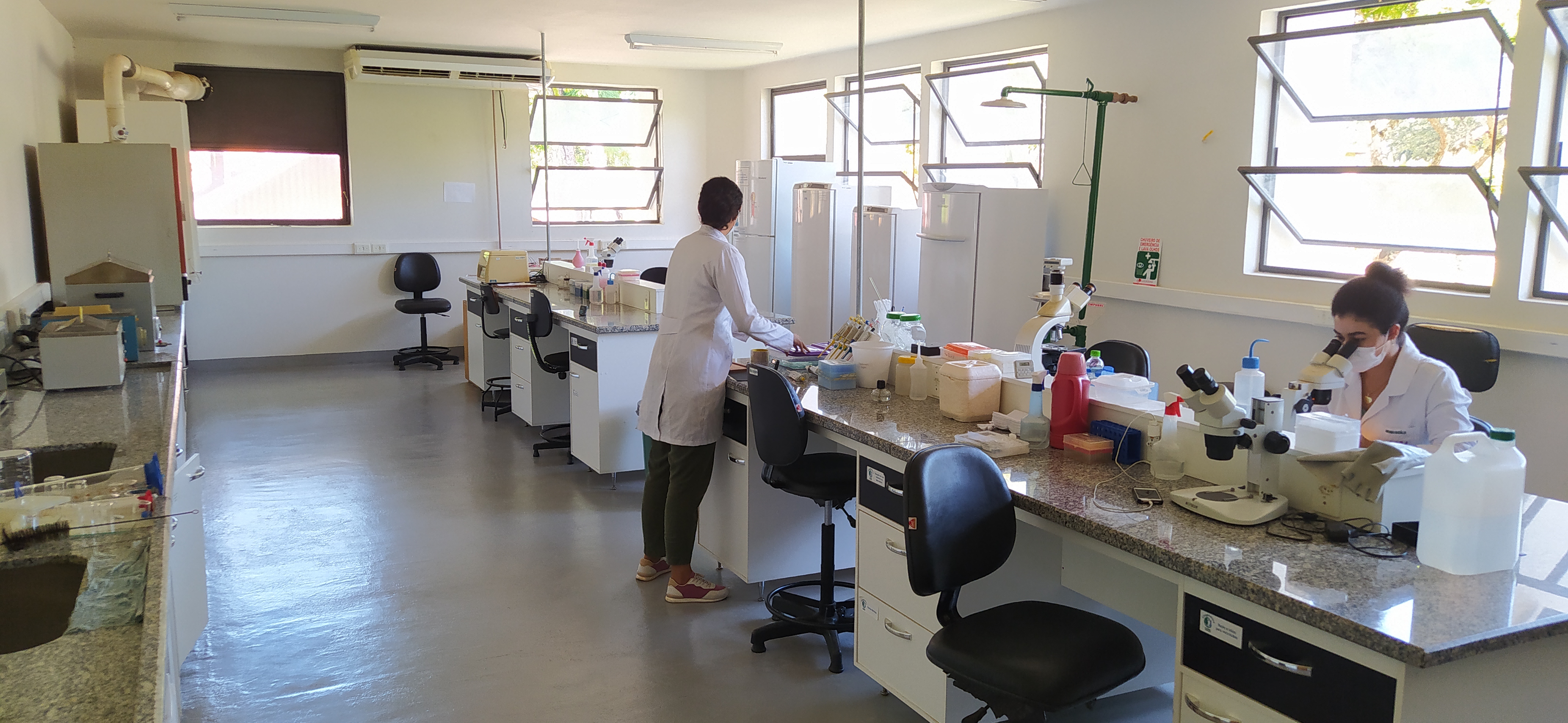 Lab_Citogenetica