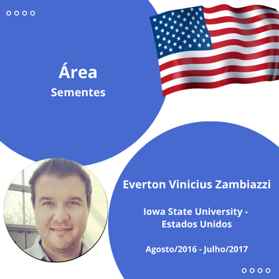 EVERTON VINICIUS ZAMBIAZZI