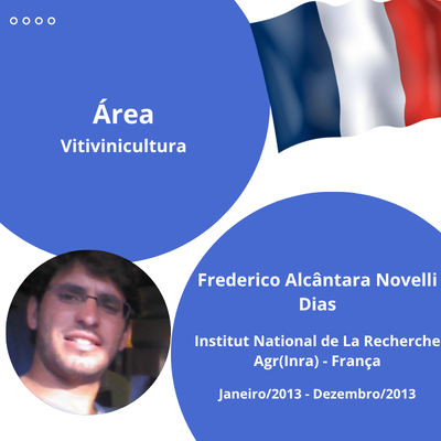 FREDERICO ALCANTARA NOVELLI DIAS