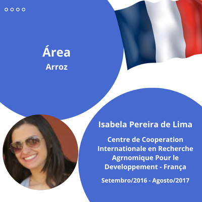 ISABELA PEREIRA DE LIMA