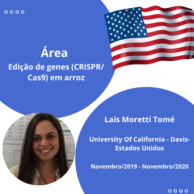 LAIS MORETTI TOME
