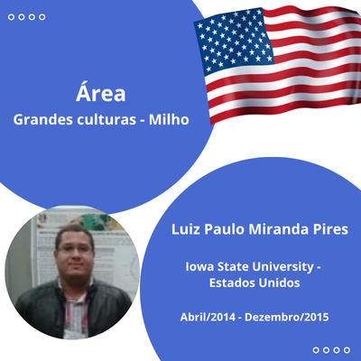 LUIZ PAULO MIRANDA PIRES