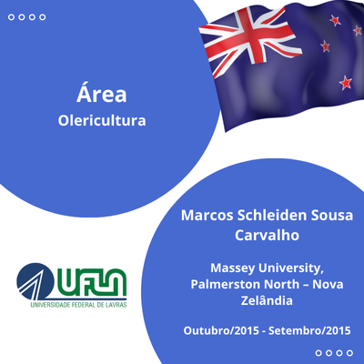 MARCOS SCHLEIDEN SOUSA CARVALHO
