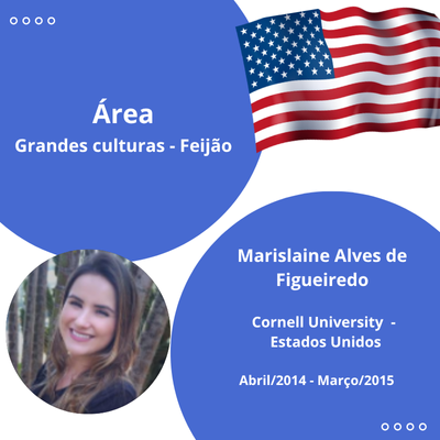 MARISLAINE ALVES DE FIGUEIREDO