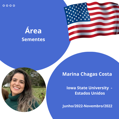 marina chagas