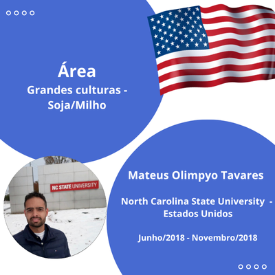 MATEUS OLIMPYO TAVARES