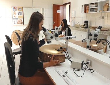 Laboratório_dendrocronologia