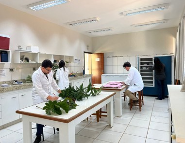 Laboratório_dendrologia
