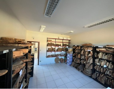 Laboratório_salacoleções