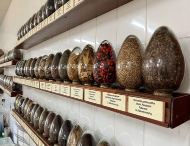 Laboratório_sementes