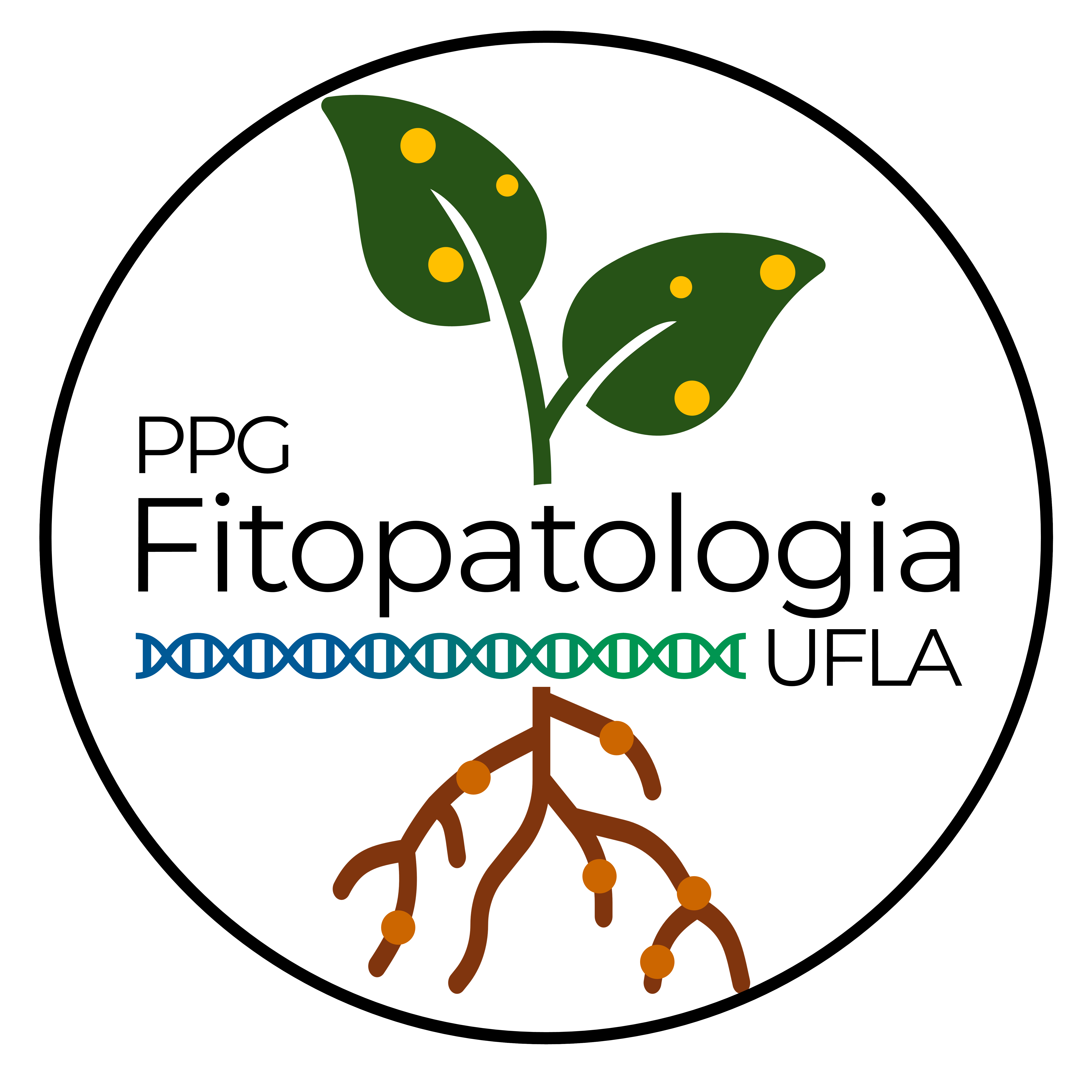logo ppgfito